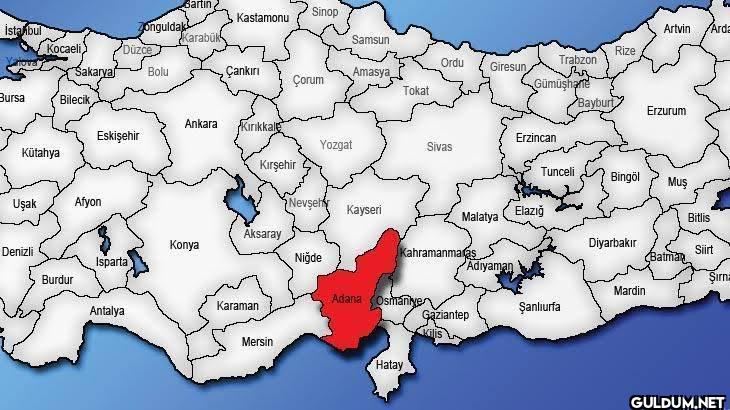 Adana'nın Kozan ilçesinde...