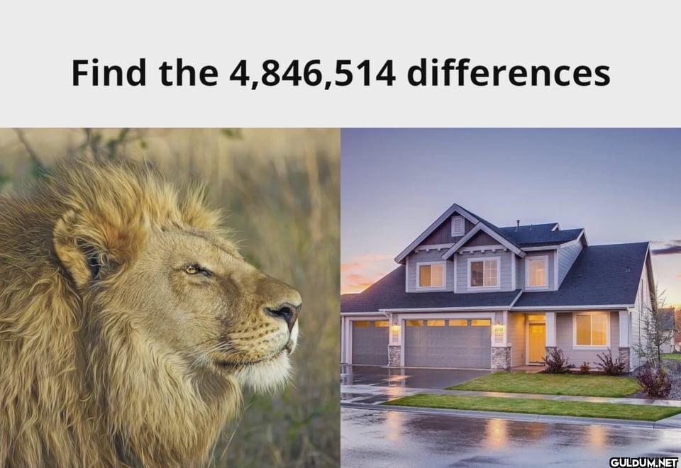 Find the 4,846,514 differences