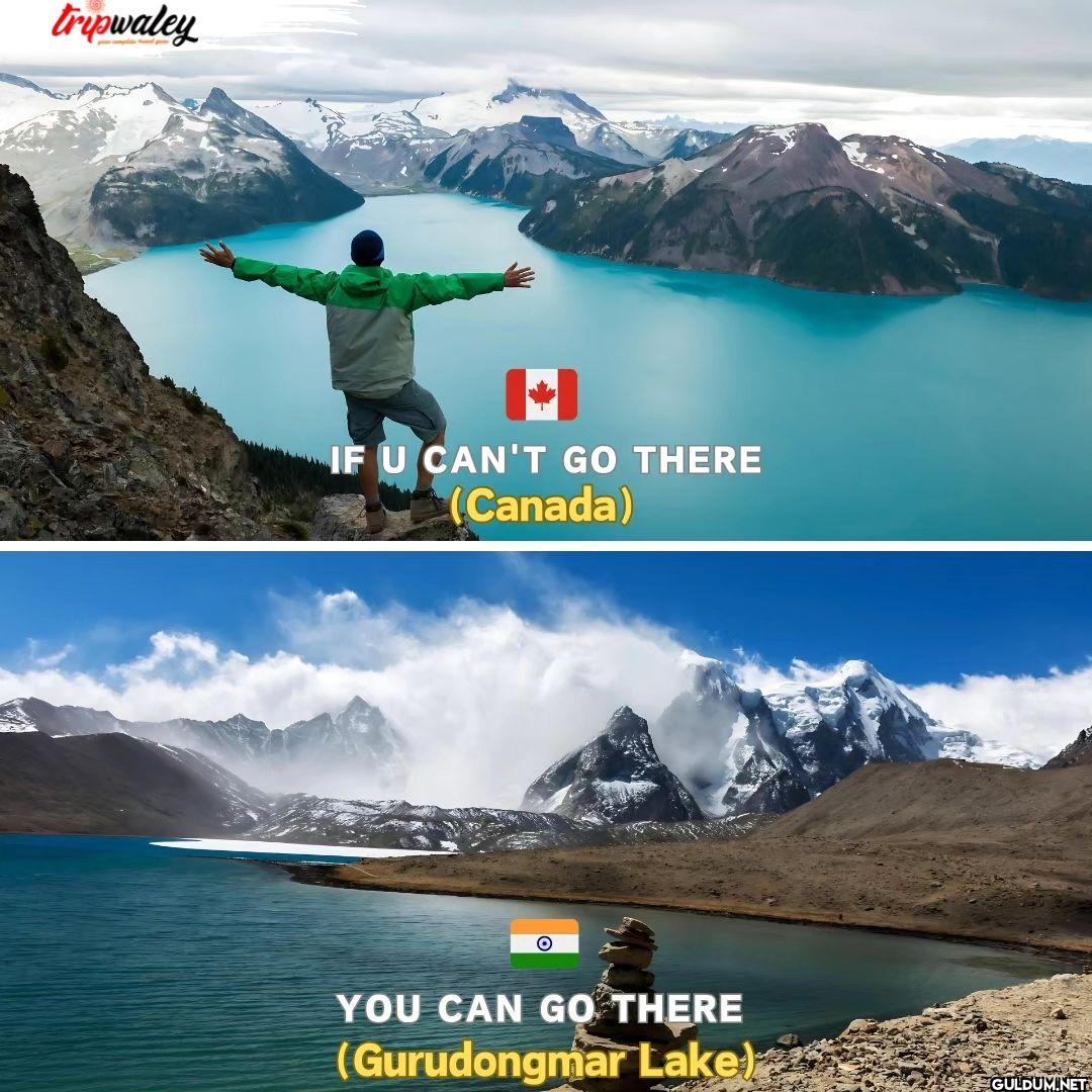 tripwaley IF U CAN'T GO...