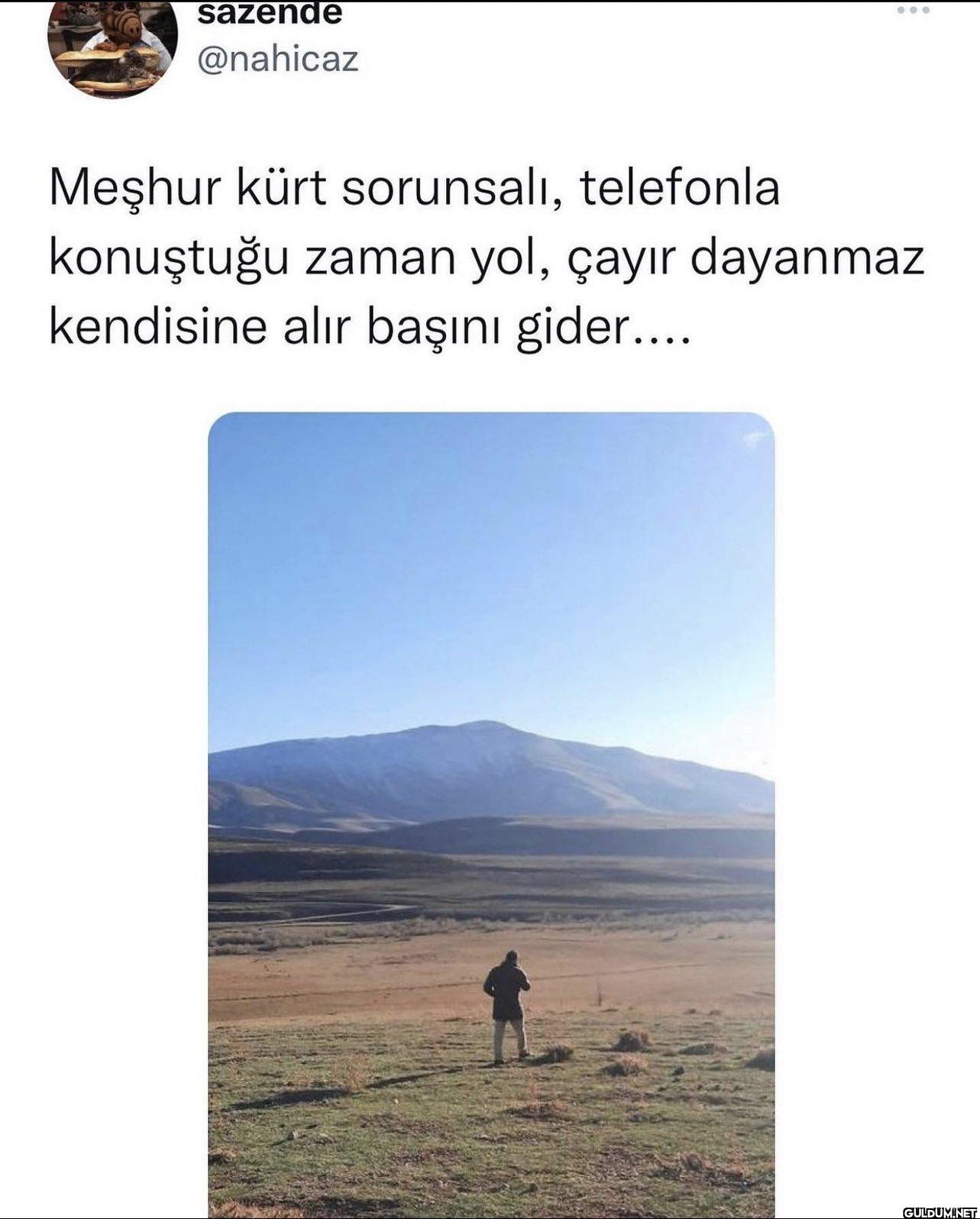 Meşhur kürt sorunsalı,...