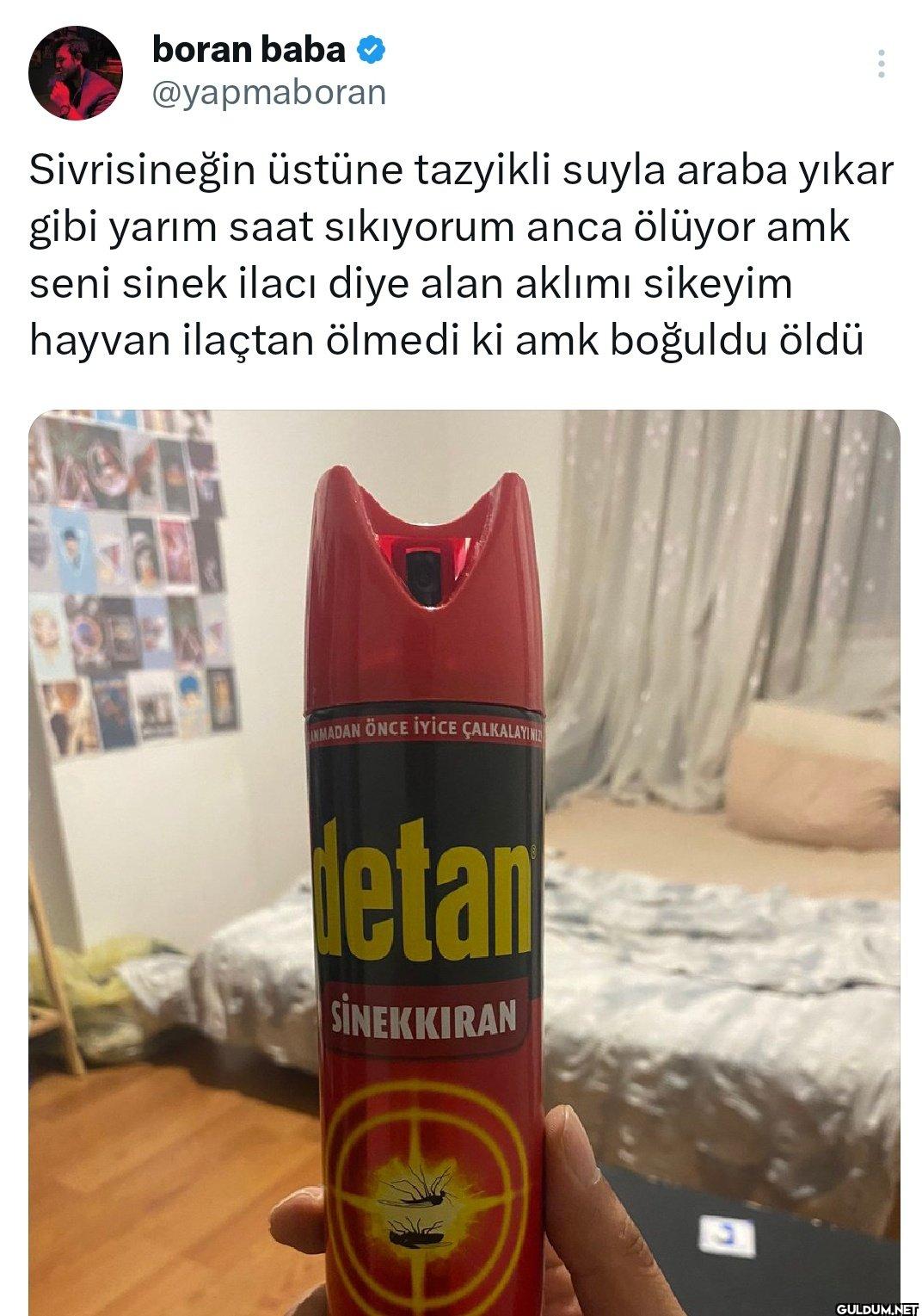 Sivrisineğin üstüne...