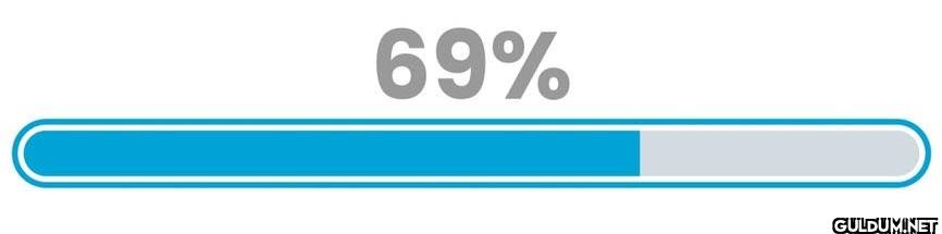 2024 is 69% complete.    69%