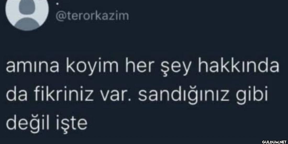 amına koyim her şey...