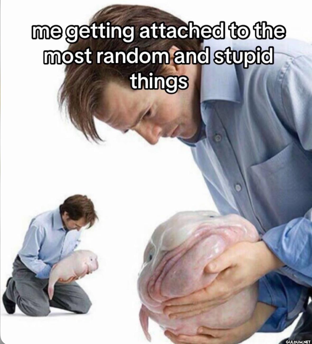 me getting attached to the...