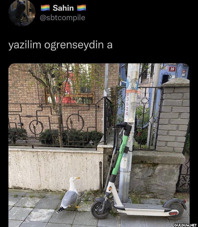 yazilim ogrenseydin a 0...