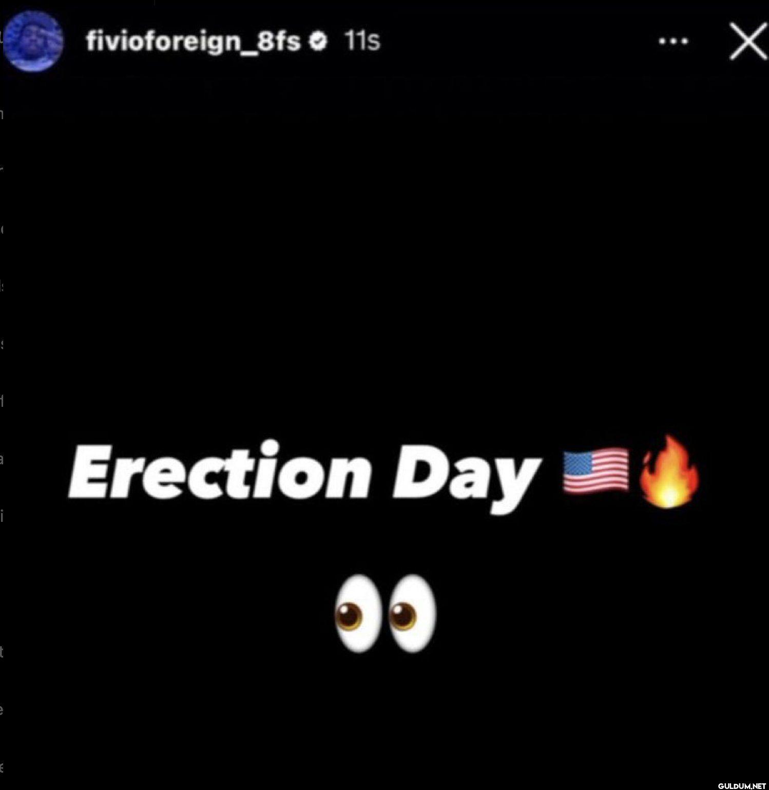 fivioforeign_8fs 11s Erection Day