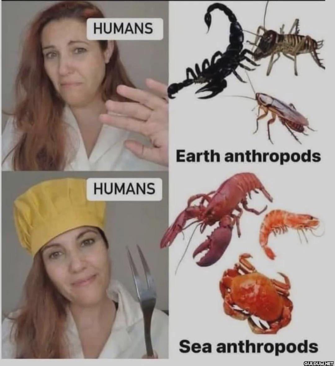 HUMANS HUMANS Earth...