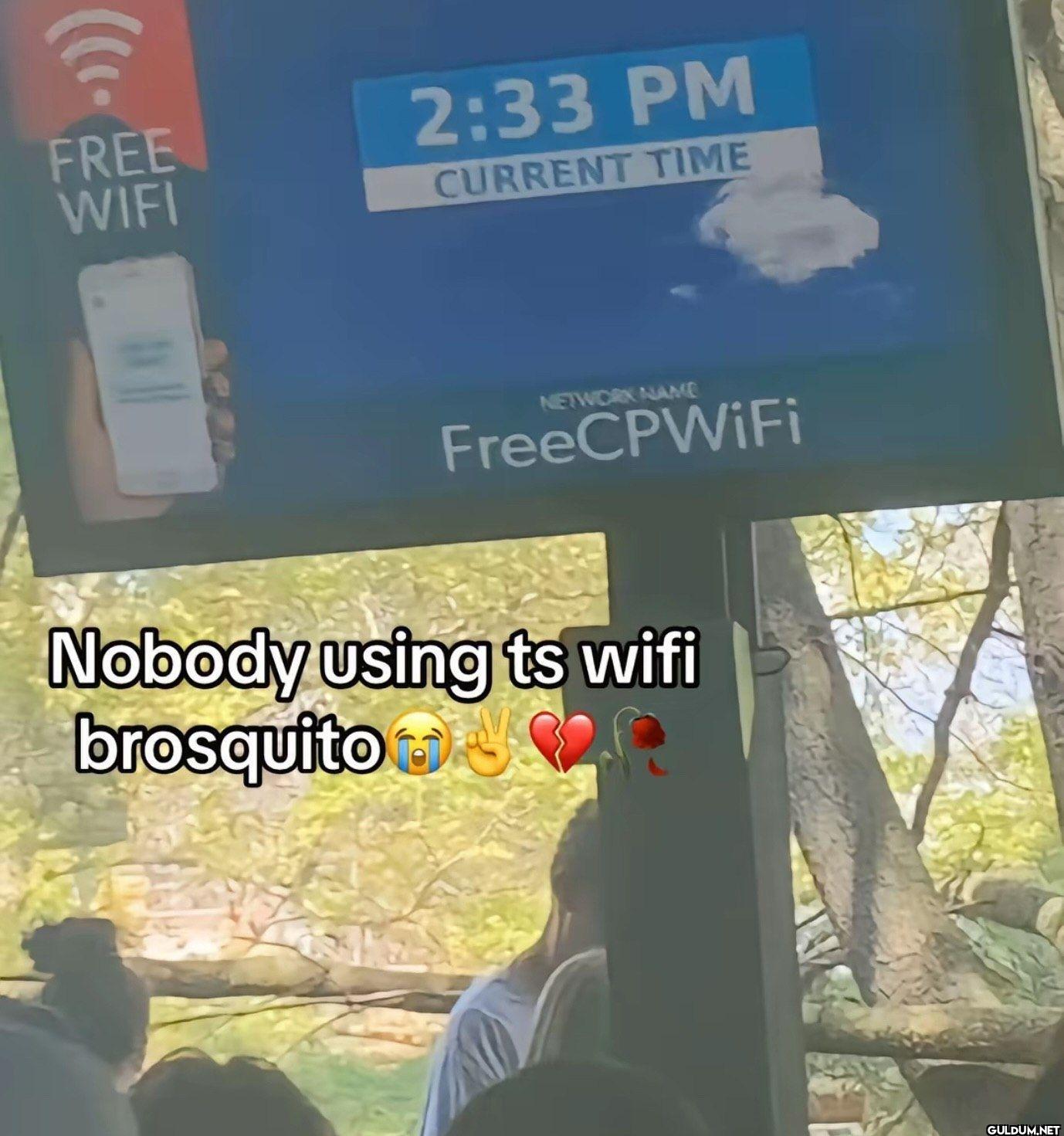 COP FREE WIFI 2:33 PM...
