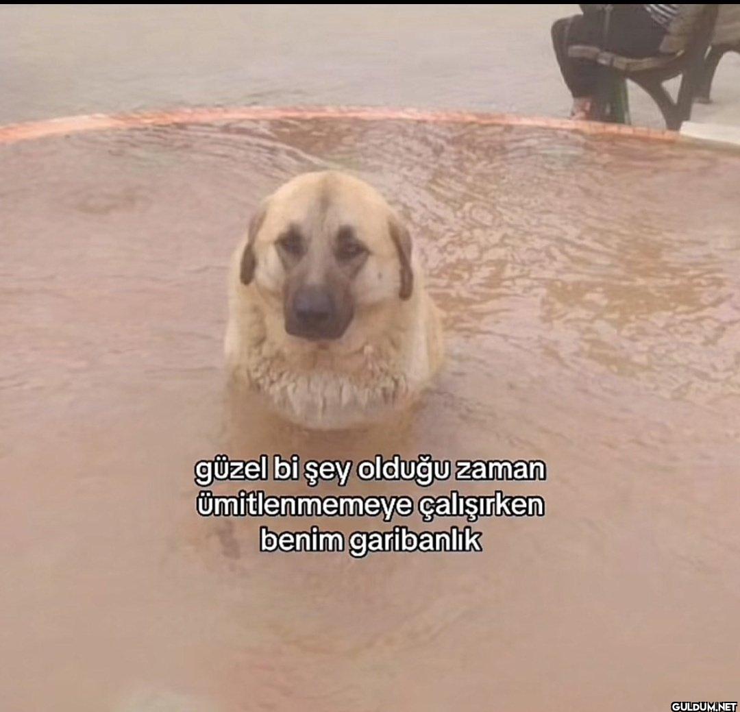 güzel bi şey olduğu zaman...