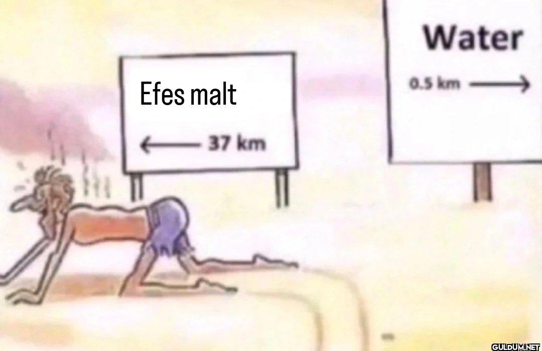 Efes malt 37 km Water 0.5 km