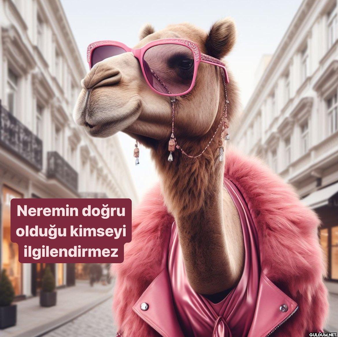Neremin doğru olduğu...