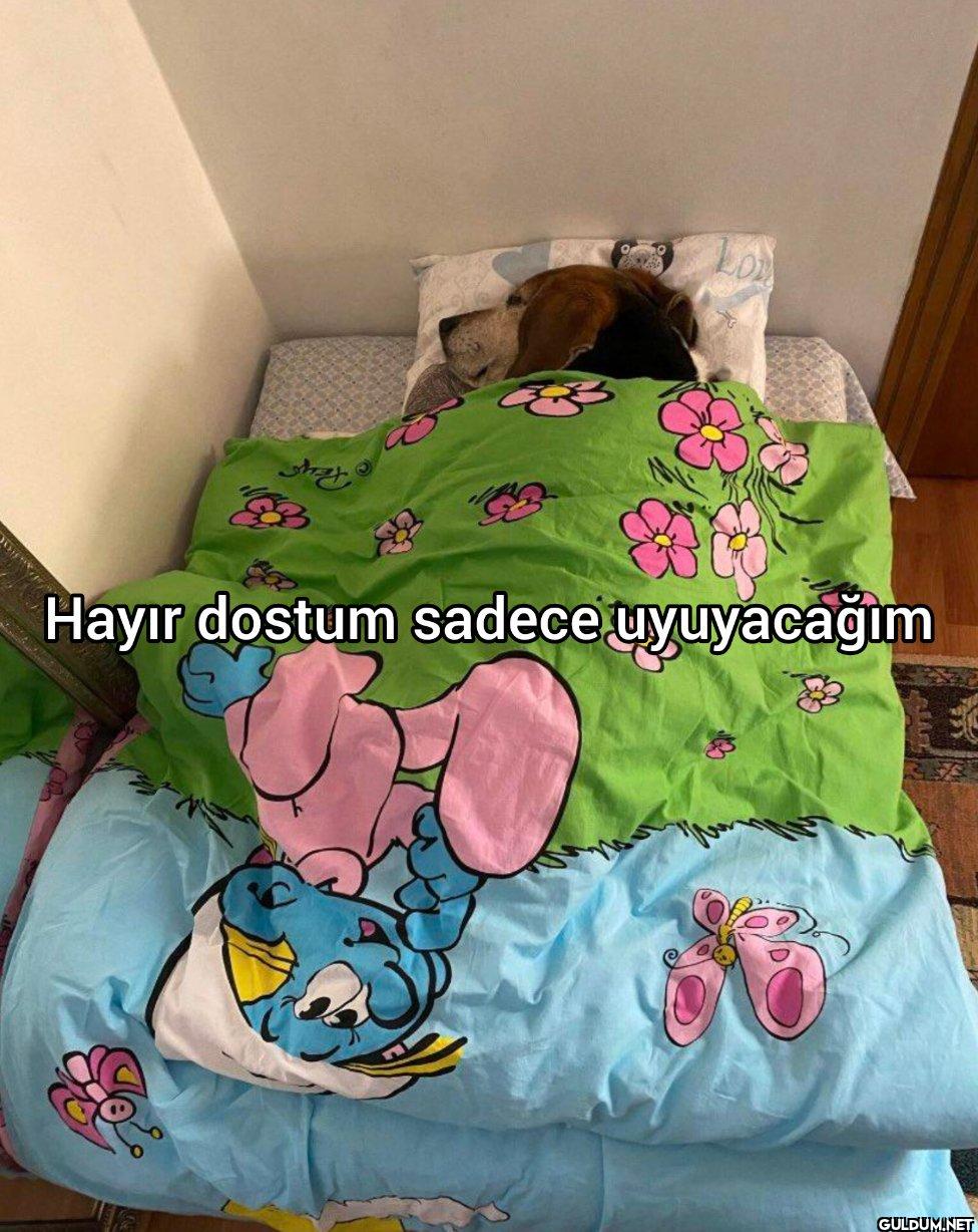 Yataktan çıkmamı...