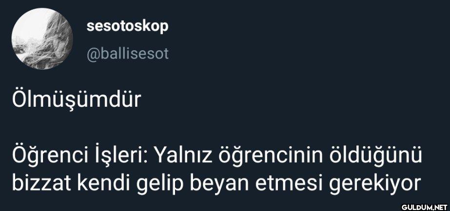 Ölmüşümdür Öğrenci İşleri:...