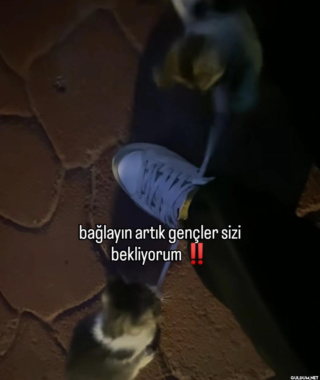 bağlayın artık gençler...
