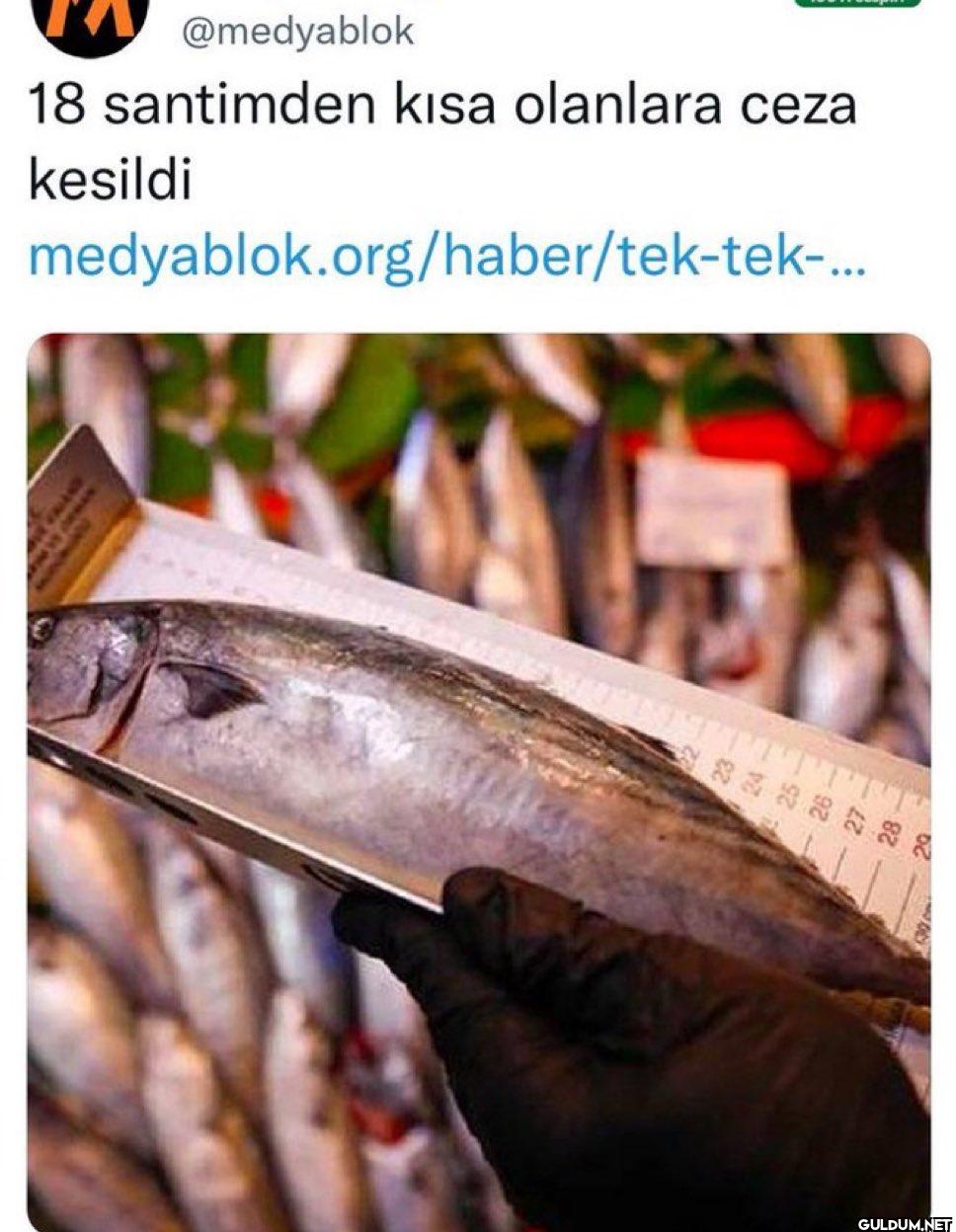 18 santimden kısa olanlara...