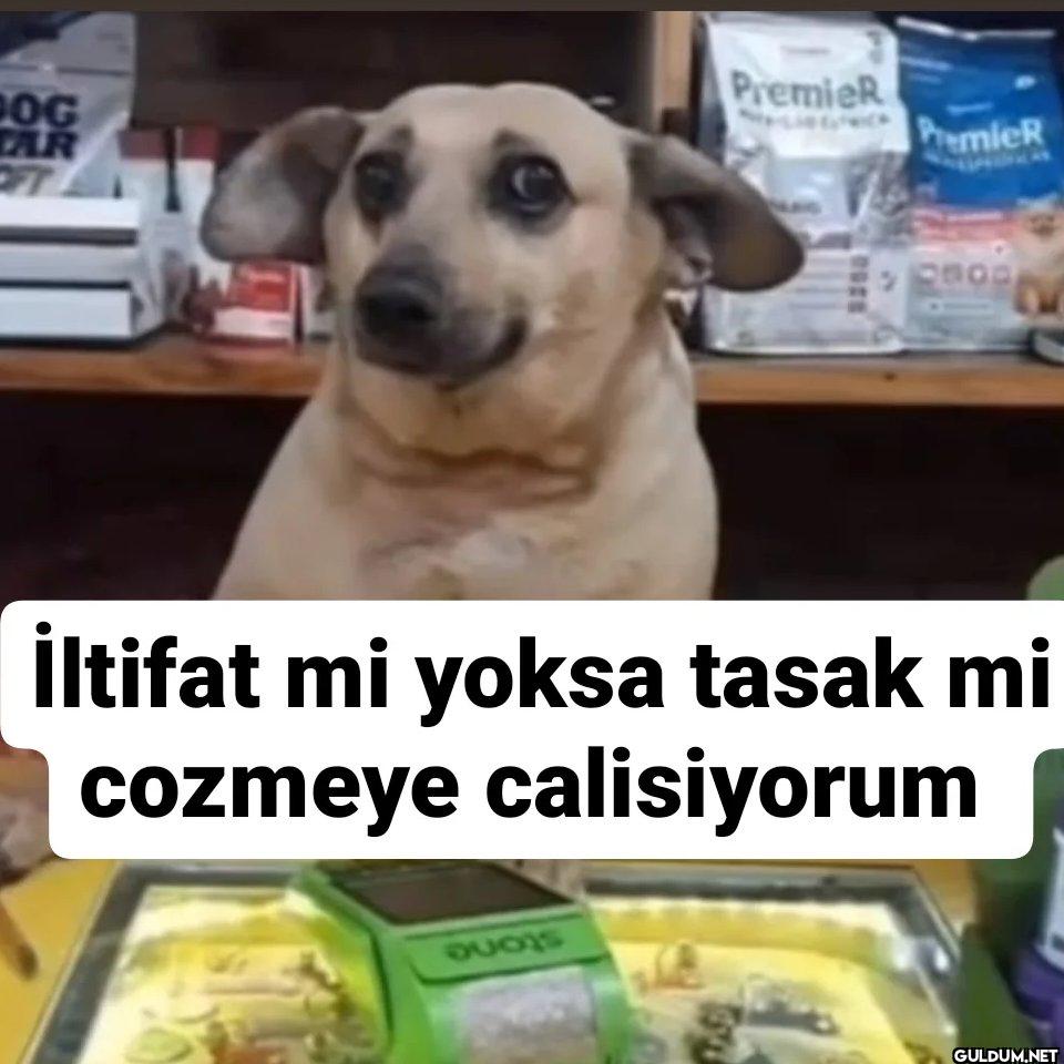 OG AR FT PremieR PremieR...