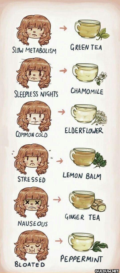 2. A quick guide to tea!  ...