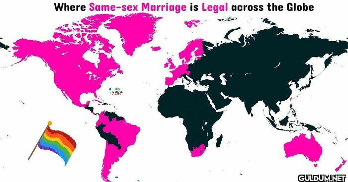 11. Where Same-Sex...
