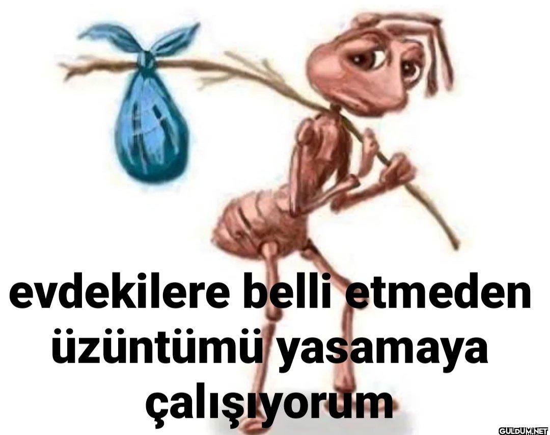 evdekilere belli etmeden...