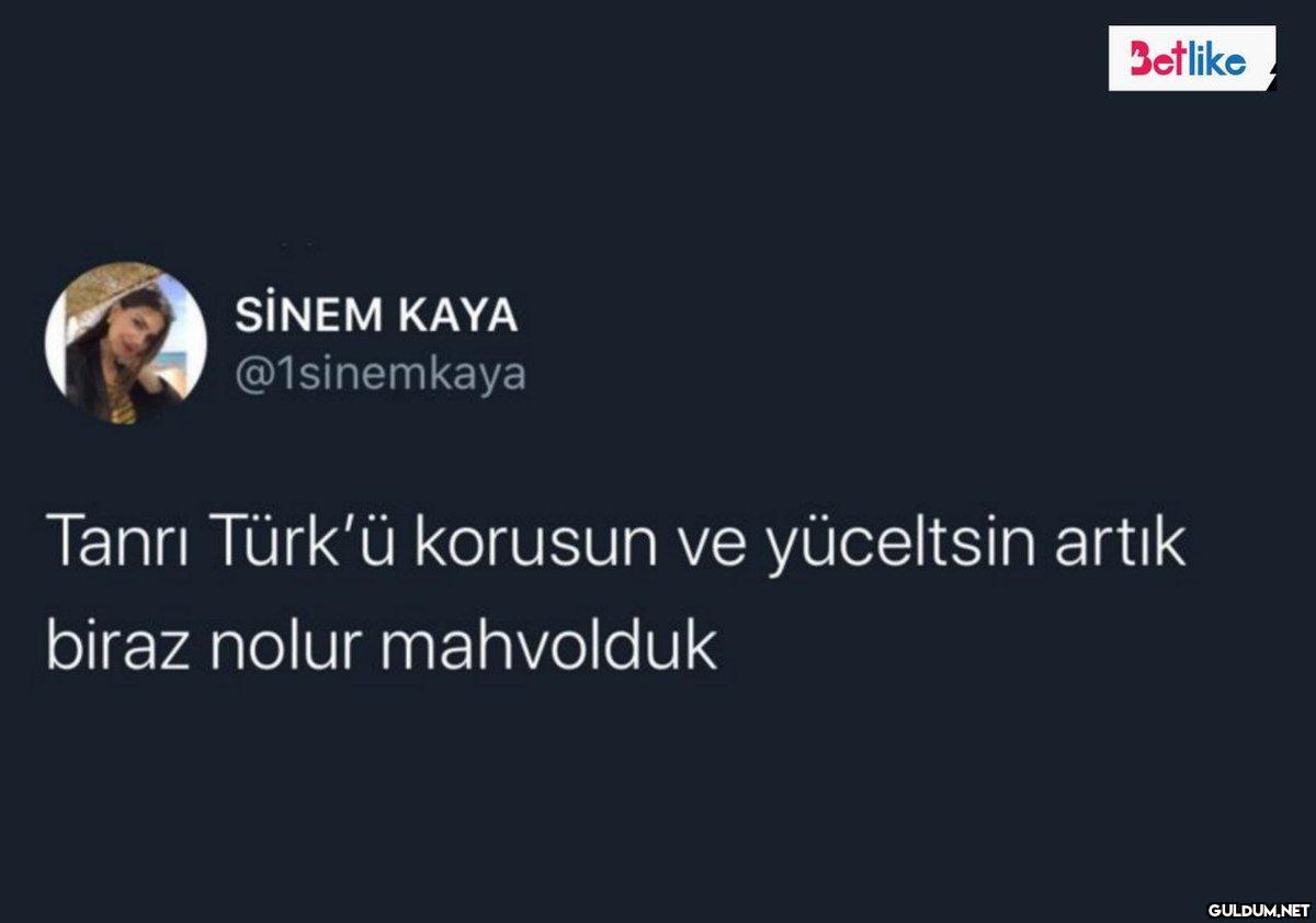 https://t.co/cVmAwhAkXN  ...