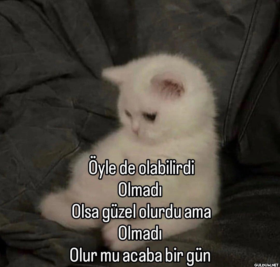 Öyle de olabilirdi Olmadı...