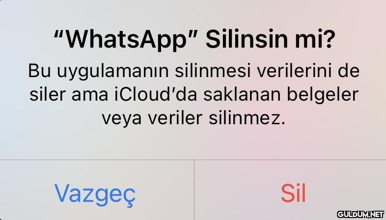 https://t.co/GuwemJuuFl ...