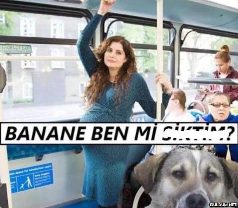hamile kadın otobüs  ...