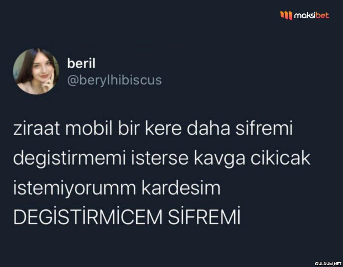 beril @berylhibiscus...