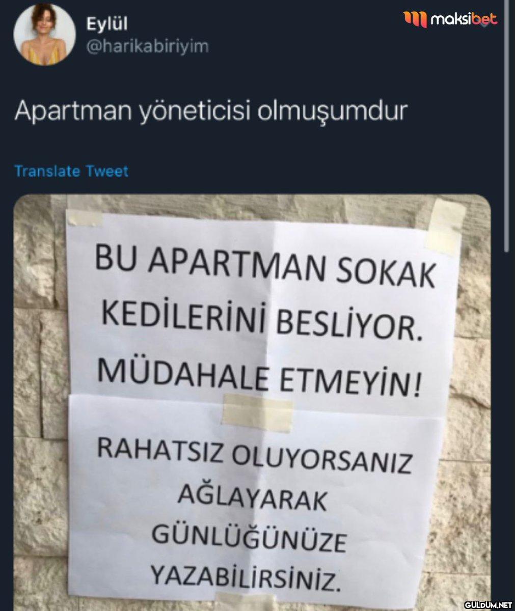 Eylül @harikabiriyim...