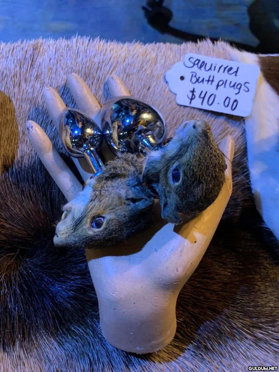 Saquirrel Butt plugs...