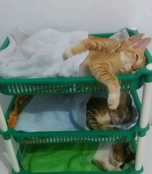 Yeni yerleri sizce nasıl...