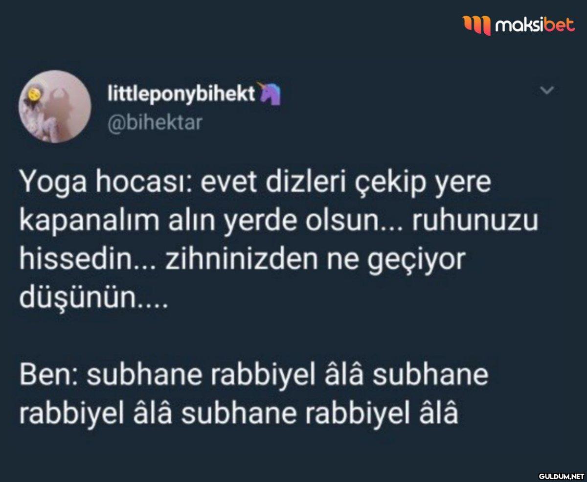 littleponybihekt @bihektar...