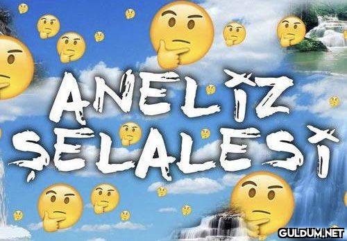 ANELIZ SELALEST   Kaynak