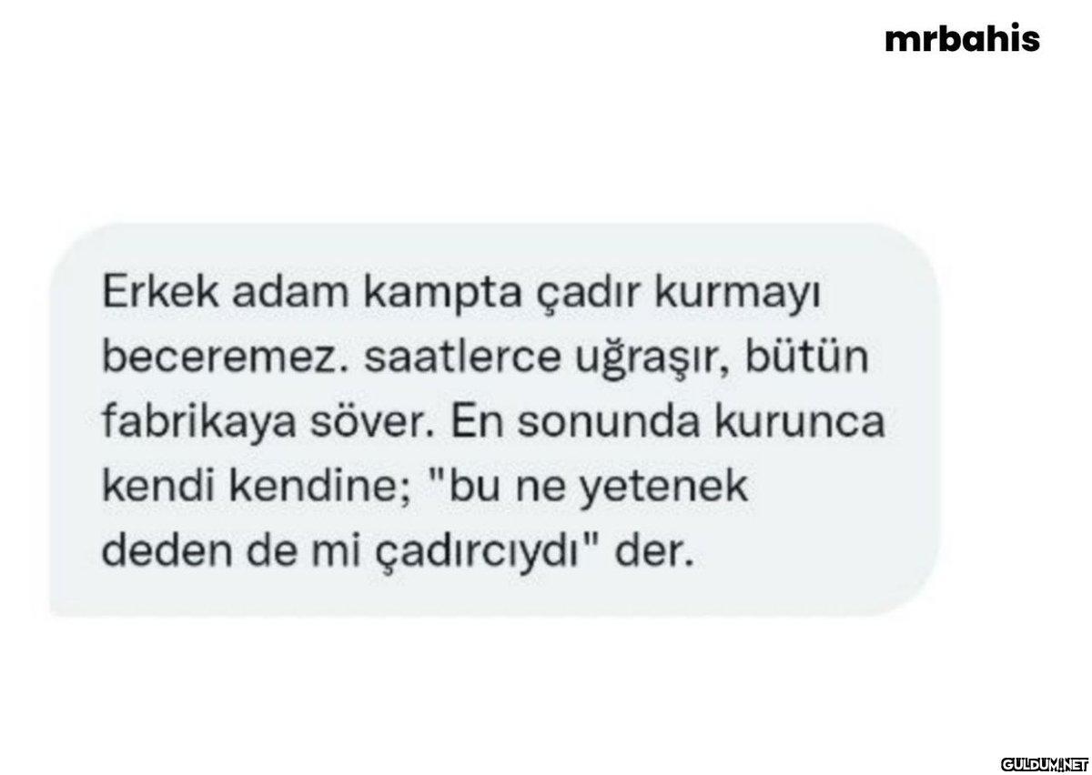mrbahis Erkek adam kampta...