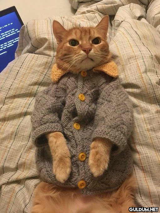 Winter İs Come...