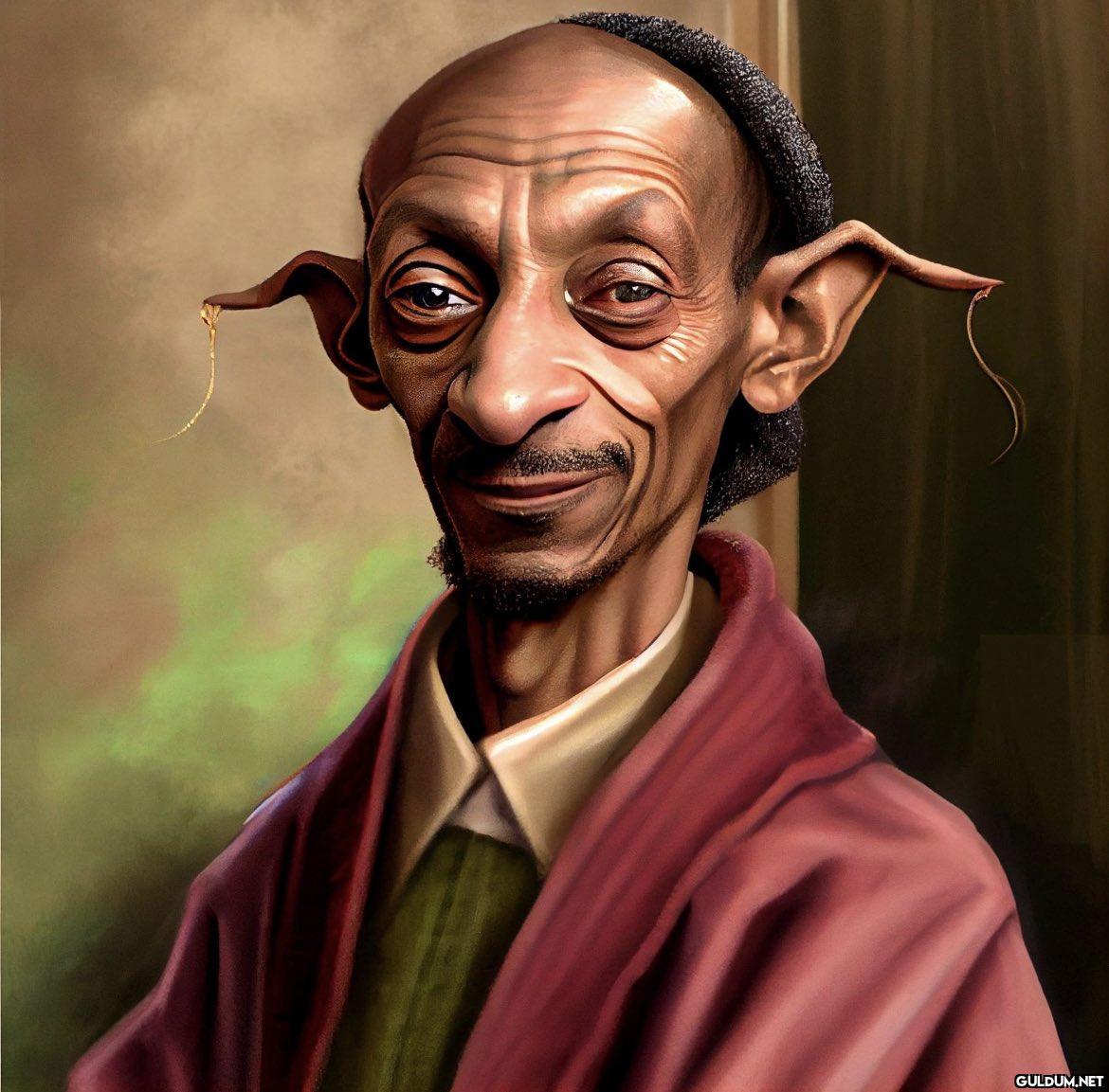 Snoop Dobby...