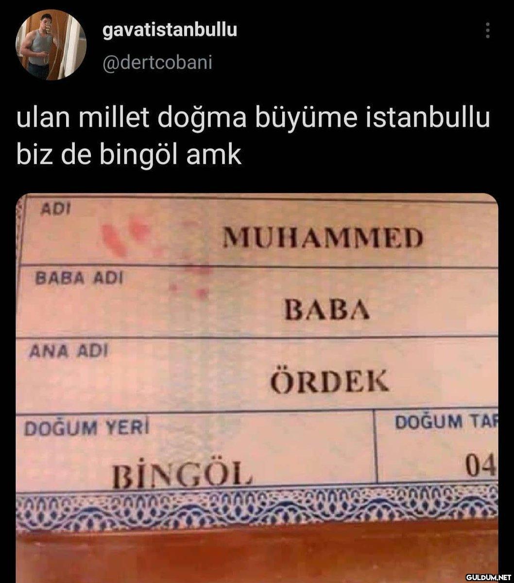 373-) Dünyanın en ilginç...