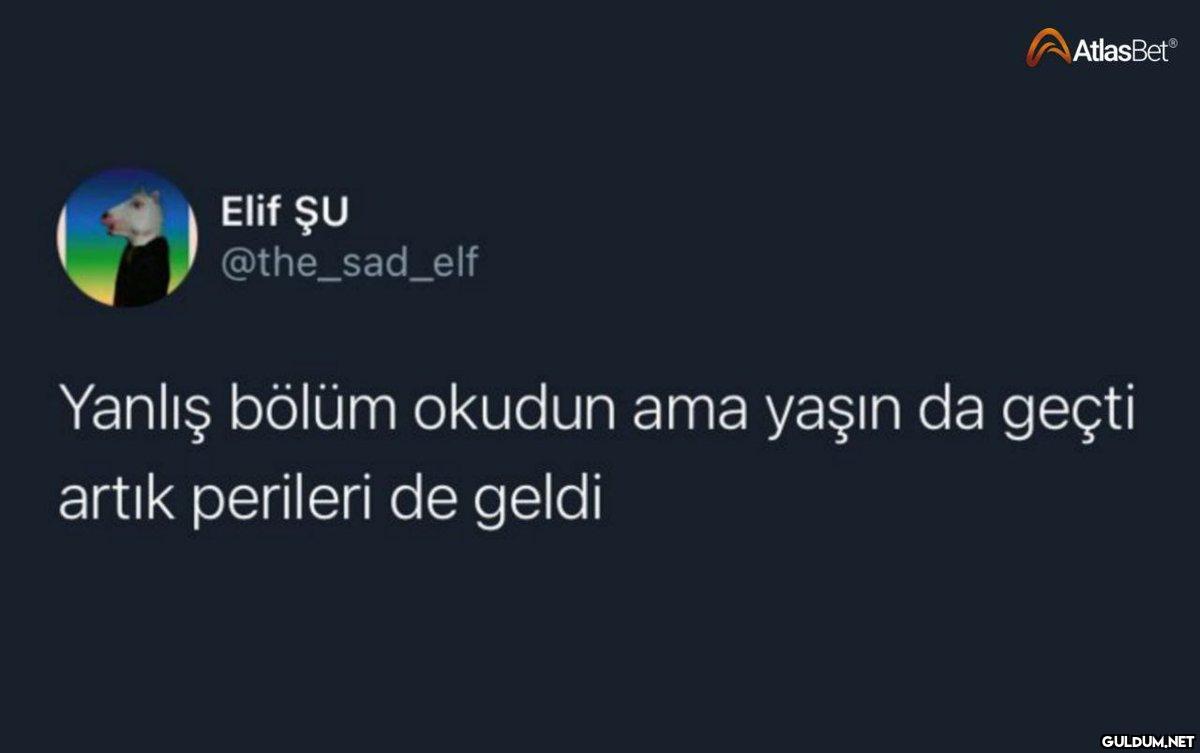 Elif ŞU @the_sad_elf...