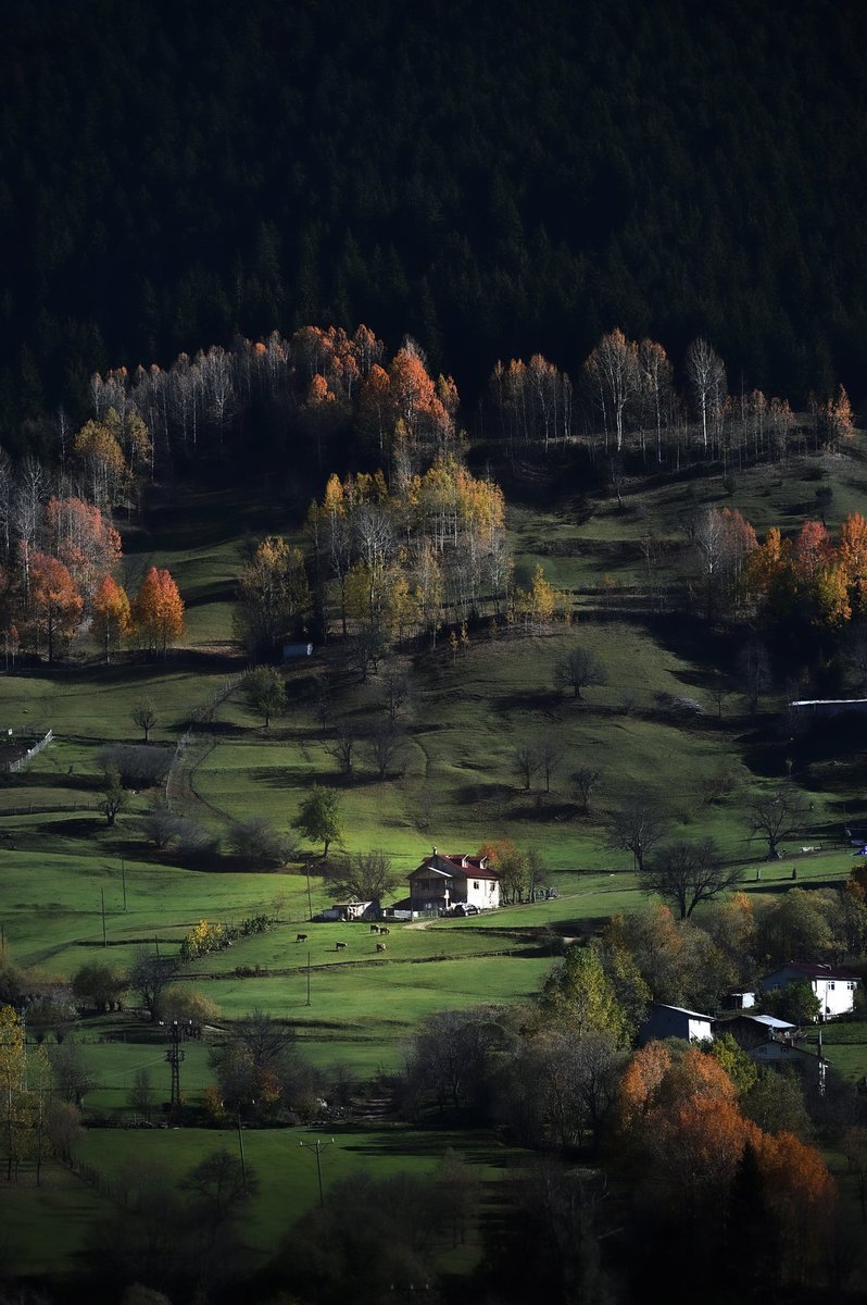 📸 Artvin / Şavşat...