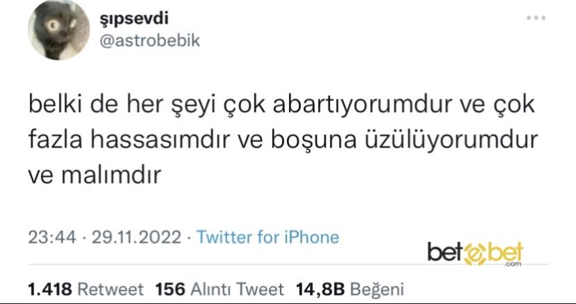 Benim cv bu...