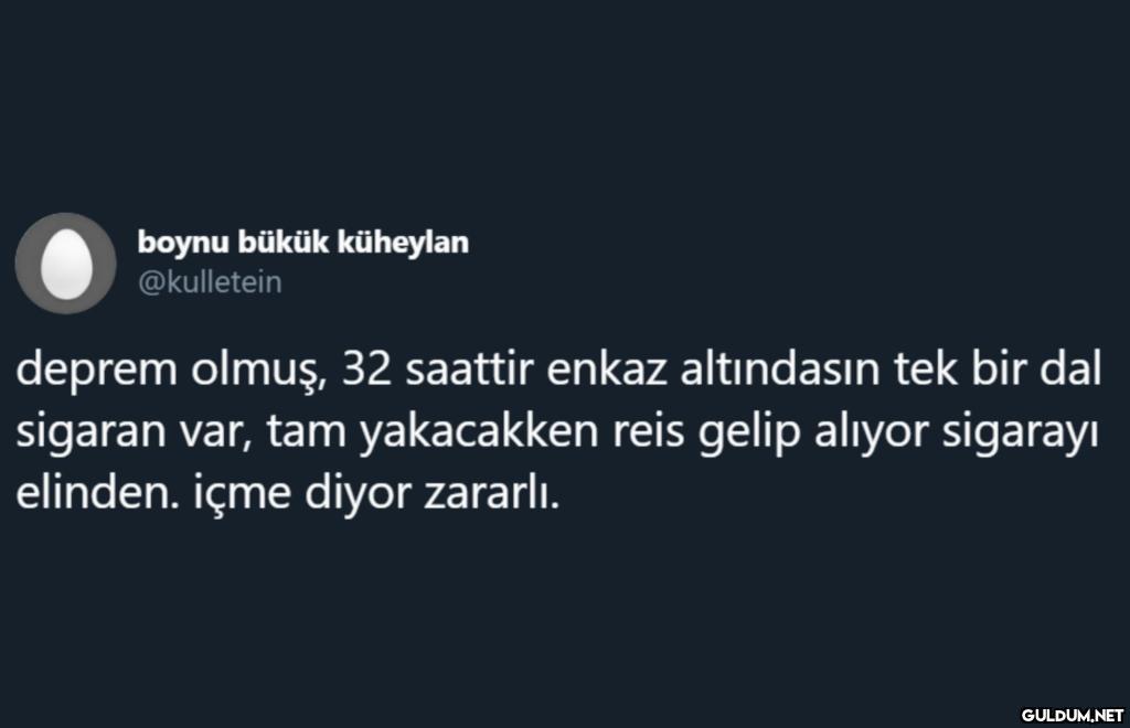 boynu bükük küheylan...