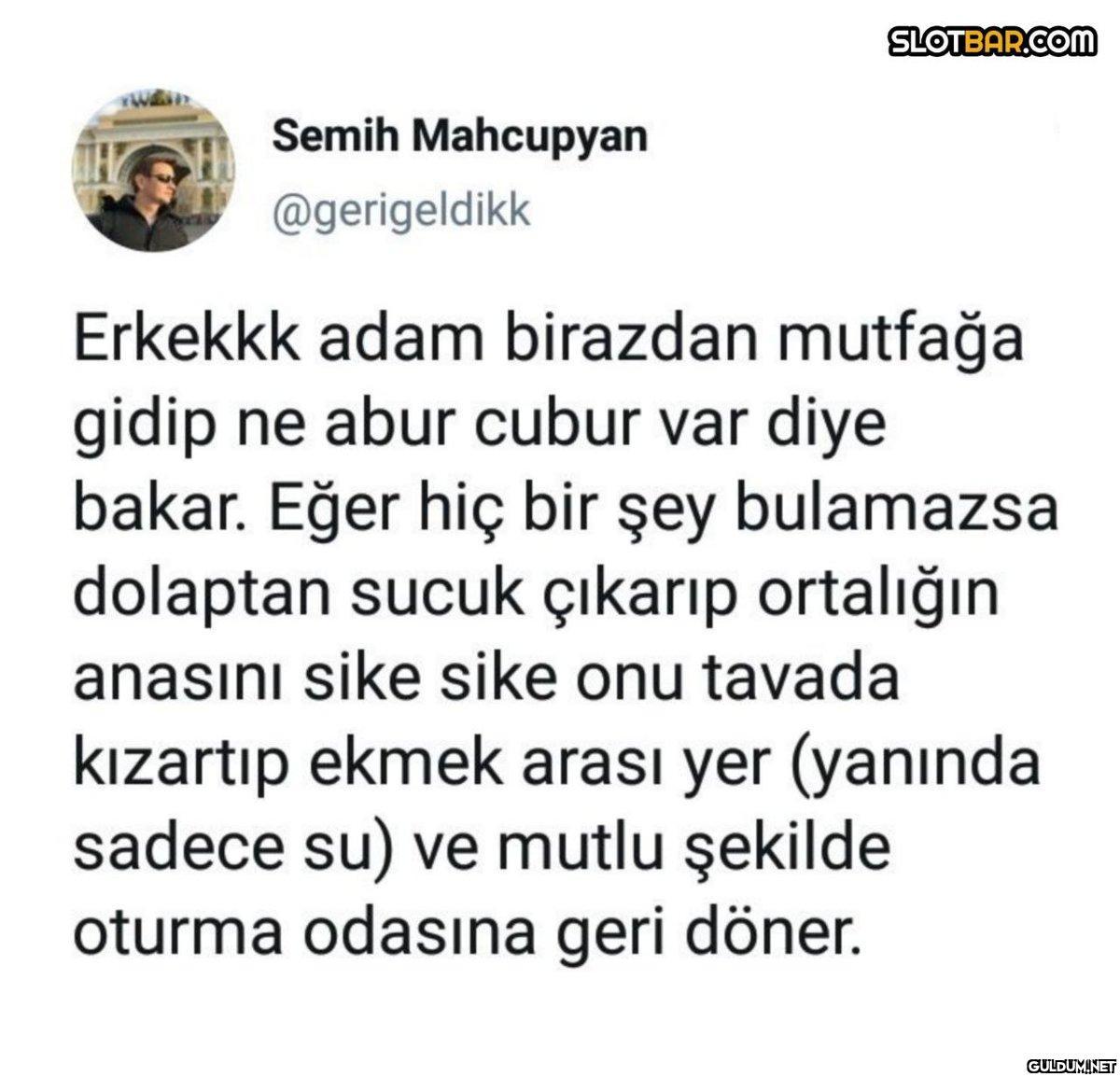 Semih Mahcupyan...