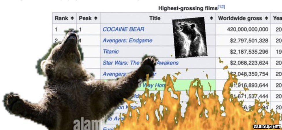 Hey @cocainebear...