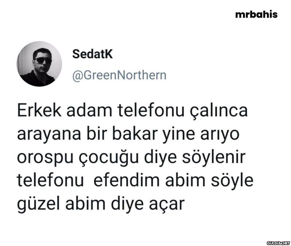 Sedatk @GreenNorthern...