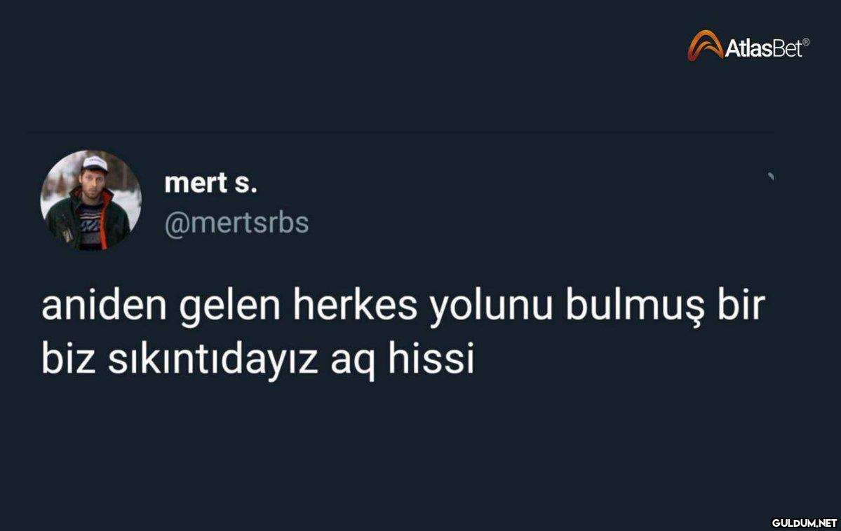 mert s. @mertsrbs...
