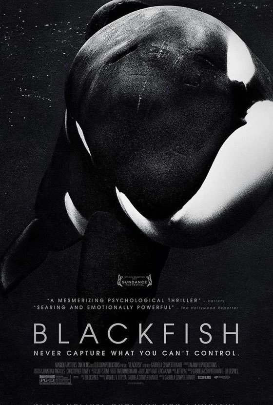 Blackfish...