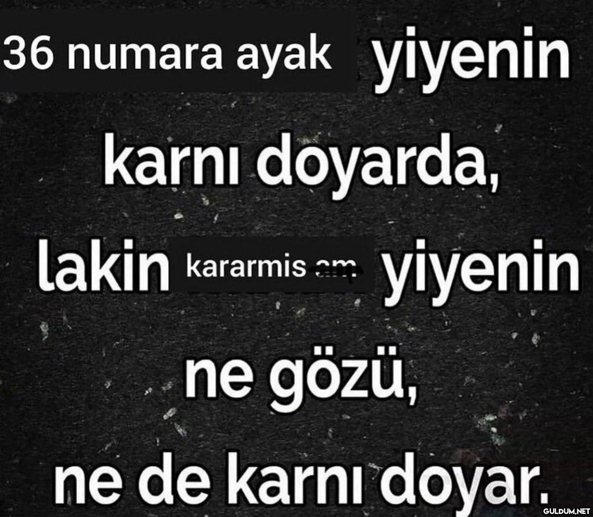 https://t.co/RiREmTAB0I  ...