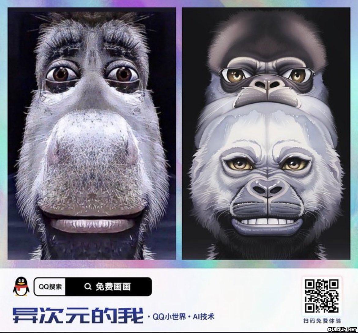 QQ搜索 Q 免费画画 异次元的我...
