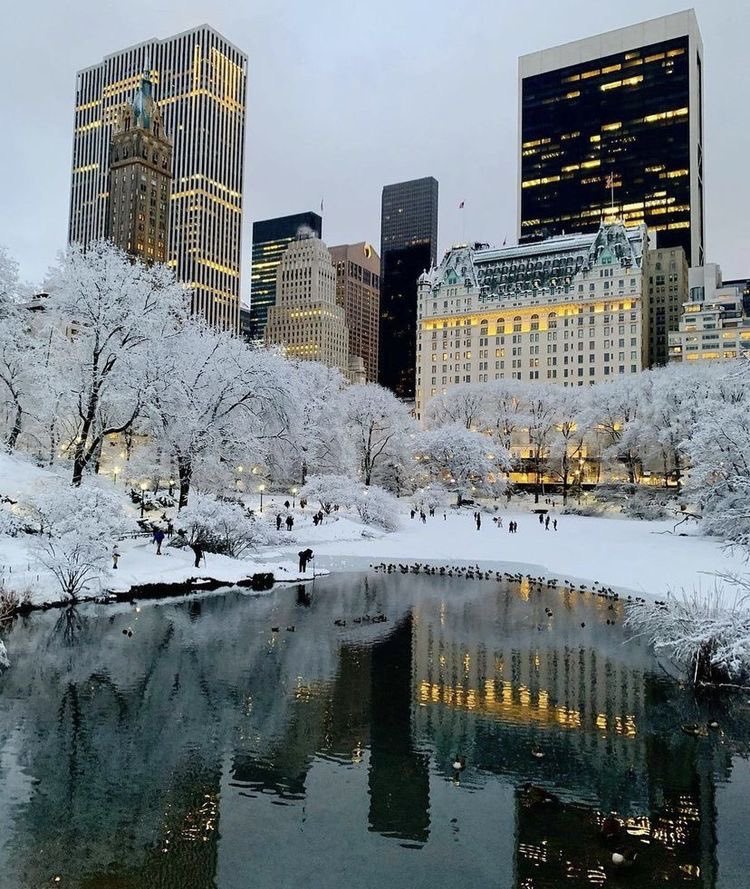 New York'ta kış❄️...