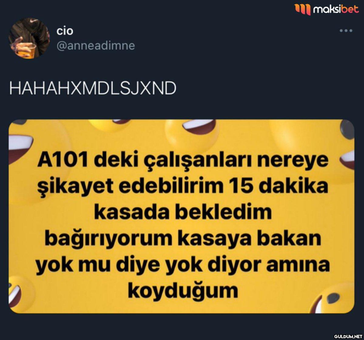cio @anneadimne...
